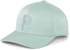 PUMA X PTC Men's Palm Tree Golf Cap -Golf Equipment Store 02464503 AQUAGREEN AL